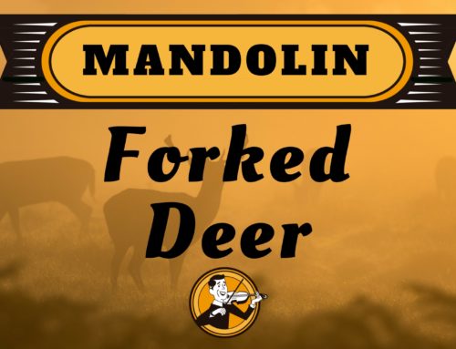 Forked Deer | Mandolin – D Lick #1 | 2:12